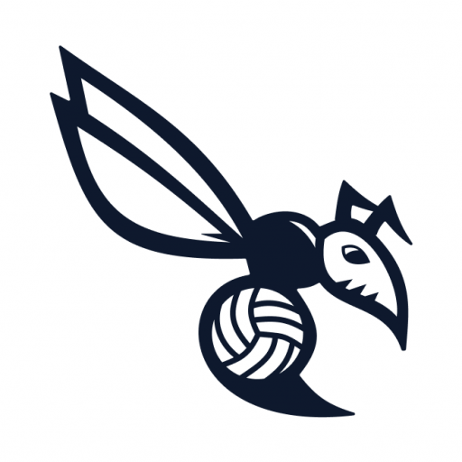 Bristol Hornets Volleyball Club